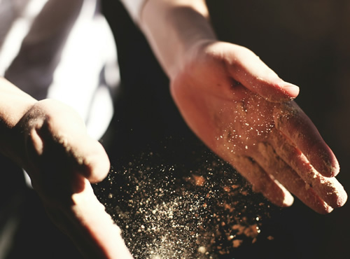 Transforma lo que comemos., Transforma lo que comemos.