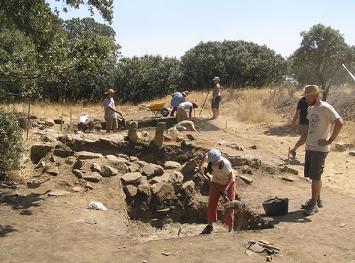 Hallan en España semillas de trigo del siglo V, Fueron encontradas en buen estado en una excavación arqueológica en la provincia de Zamora junto a granos de avena y cebada