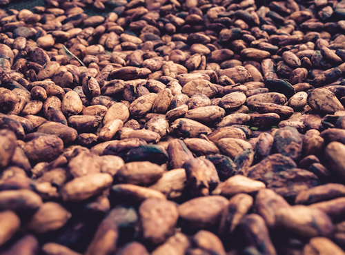 Beneficios del Cacao Natural y Cómo Usarlo en tus Recetas