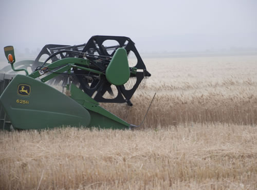 El nuevo presidente elimina los impuestos para fomentar el desarrollo agrícola, El nuevo presidente elimina los impuestos para fomentar el desarrollo agrícola