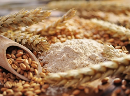 La espiga dorada de la alimentación, Especialistas en nutrición defienden el consumo de trigo como base energética de una dieta saludable
