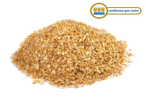 Germen de trigo: fuente de salud,Actúa como un potente antioxidante que previene la arteriosclerosis, regula la diabetes, da vigor al cabello y retrasa la aparición de arrugas.