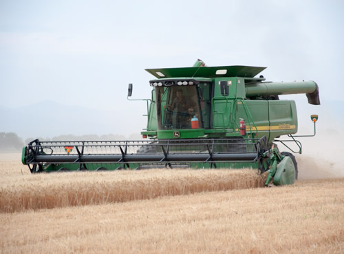 Nobel de Agricultura, Anjaya Rajaram, mexicano naturalizado nacido en la India, fue el ganador del Nobel de la agricultura.