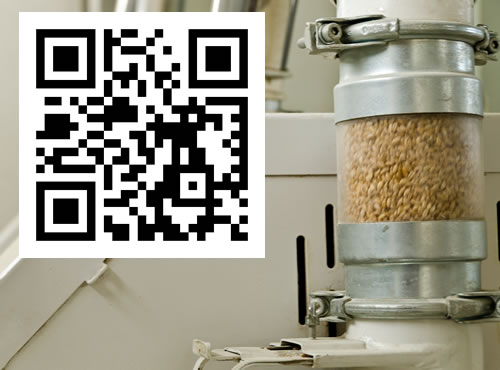 El código QR llega al trigo,Ya es posible obtener información de dónde y cuándo fue cosechado el trigo de la harina que vas a consumir.