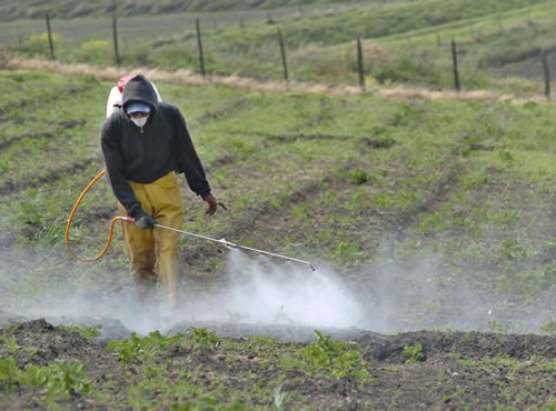 Agricultura: ¿’stop’ a los  químicos?, La crisis del petróleo y el ascenso del dólar pueden alterar el precio de los fertilizantes y plaguicidas en plena revolución ‘orgánica’ del consumo saludable
