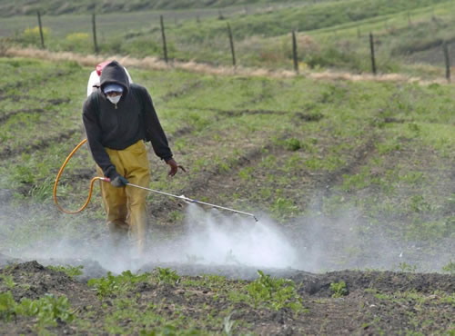 La crisis del petróleo y el ascenso del dólar pueden alterar el precio de los fertilizantes y plaguicidas en plena revolución ‘orgánica’ del consumo saludable, La crisis del petróleo y el ascenso del dólar pueden alterar el precio de los fertilizantes y plaguicidas en plena revolución ‘orgánica’ del consumo saludable