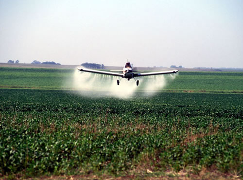 Agricultura: ¿’stop’ a los  químicos?,La crisis del petróleo y el ascenso del dólar pueden alterar el precio de los fertilizantes y plaguicidas en plena revolución ‘orgánica’ del consumo saludable