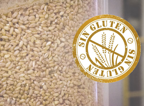 ‘Trigocel’: nueva variedad de trigo apta para celíacos,Investigadores españoles trabajan en el desarrollo de plantas de este cereal con bajo contenido en gluten.
